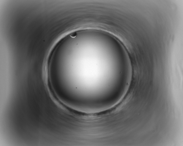 X0000099971515200805231354