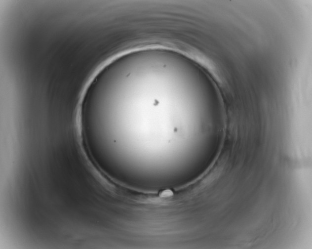 X0000099971516200805231354