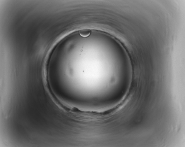 X0000099971517200805231354