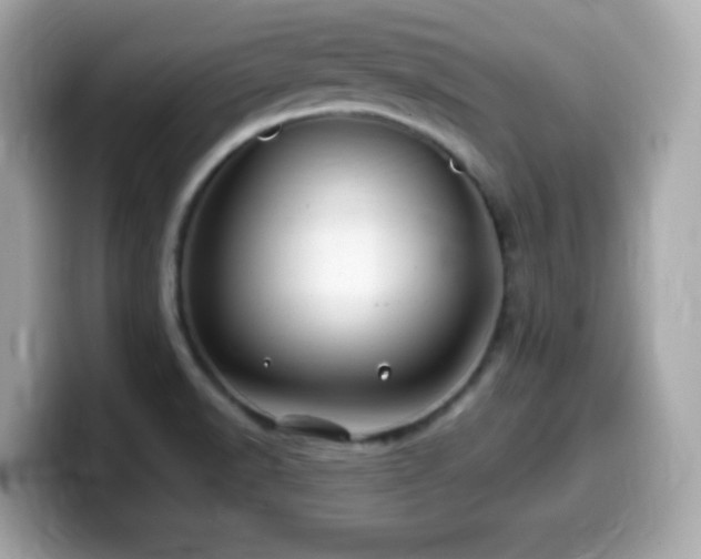 X0000099971518200805231355
