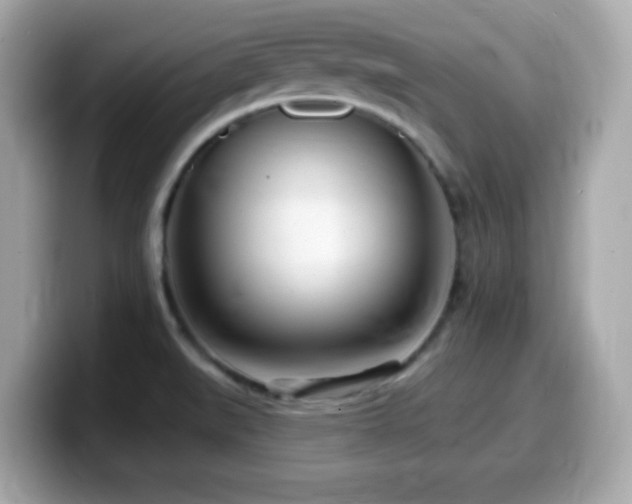X0000099971519200805231355