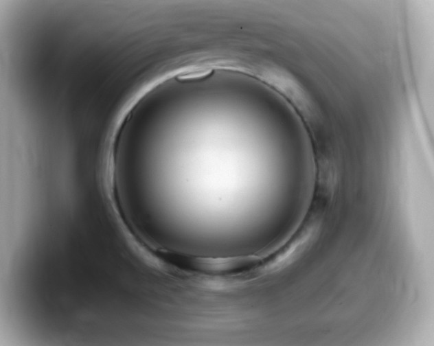X0000099971520200805231355