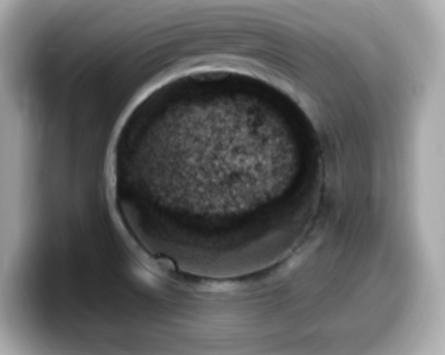 X0000099971522200805231355
