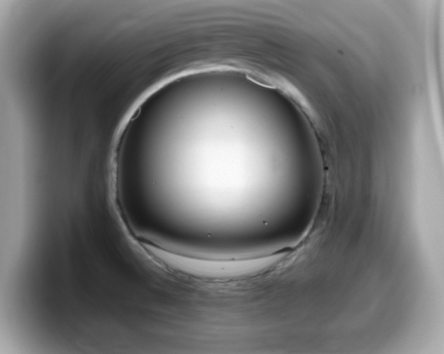X0000099971524200805231355