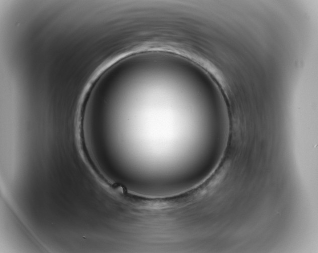 X0000099971525200805231355