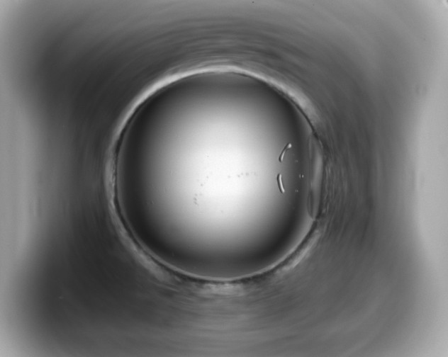 X0000099971526200805231355