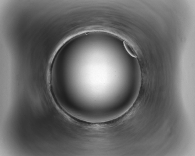 X0000099971527200805231355