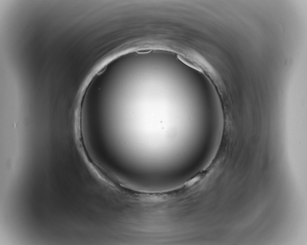 X0000099971528200805231355