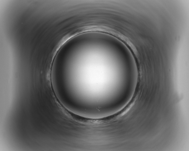 X0000099971529200805231355