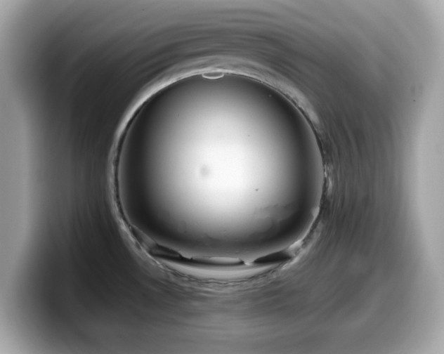 X0000099971530200805231355