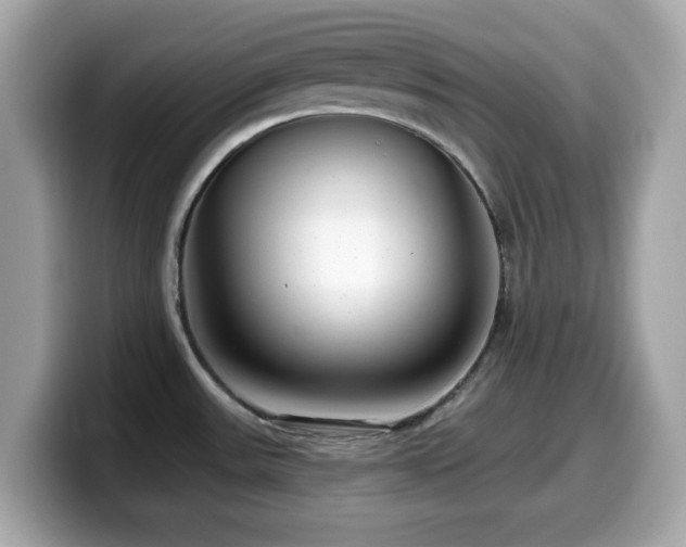X0000099971531200805231355