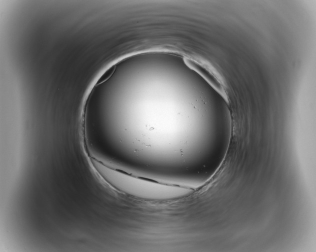 X0000099971532200805231355
