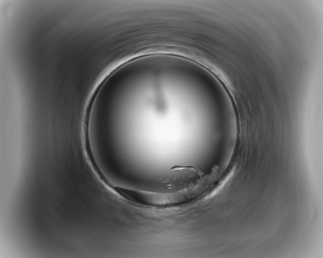 X0000099971533200805231355