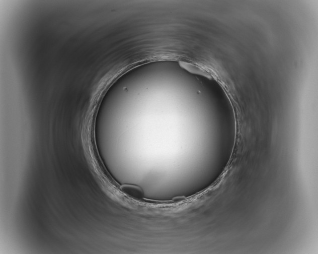 X0000099970001200805301343