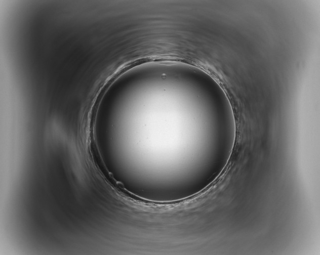 X0000099970002200805301343