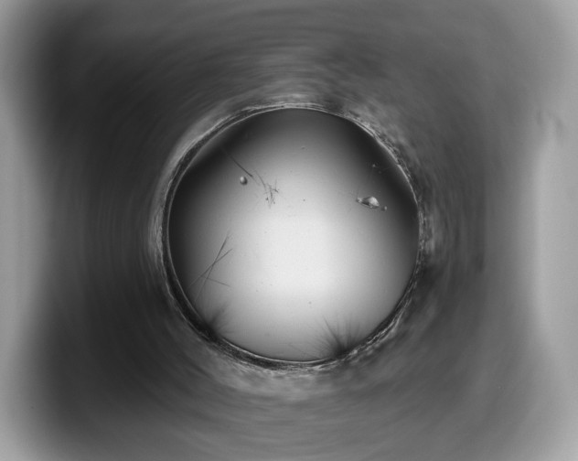 X0000099970004200805301343