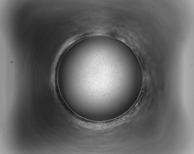 X0000099970006200805301343