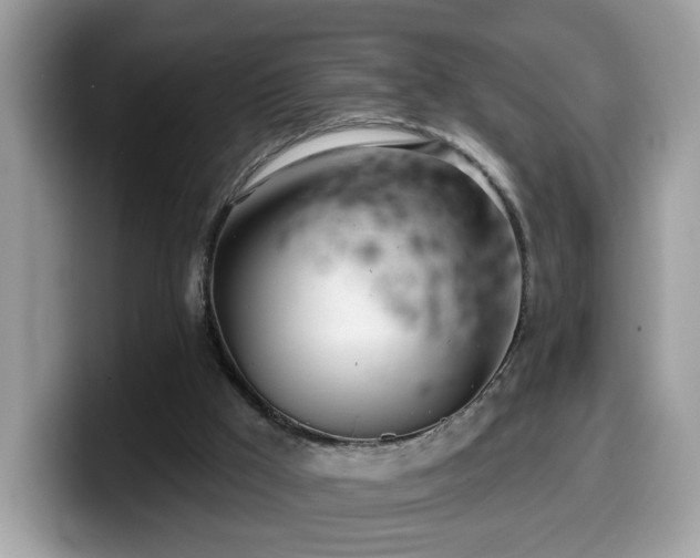 X0000099970009200805301343