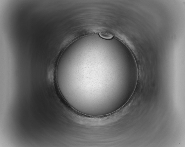 X0000099970010200805301343