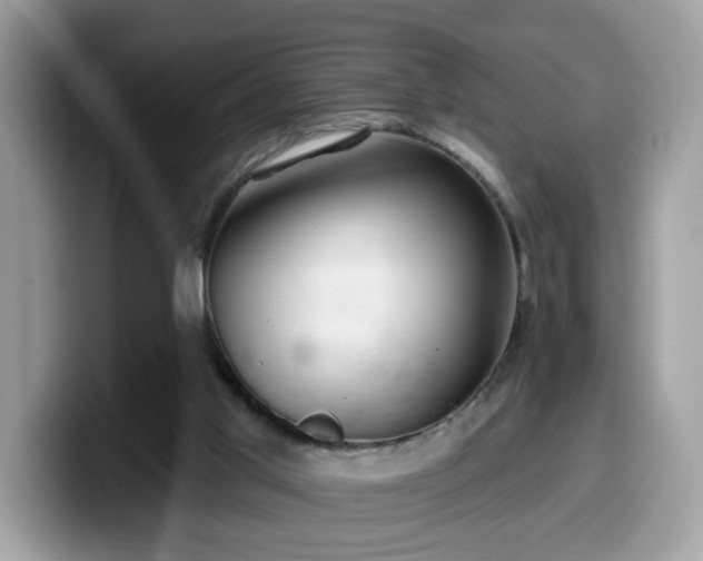 X0000099970013200805301343