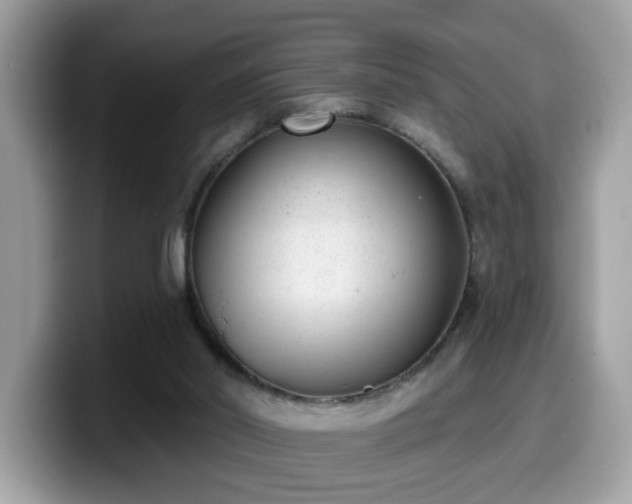 X0000099970014200805301343