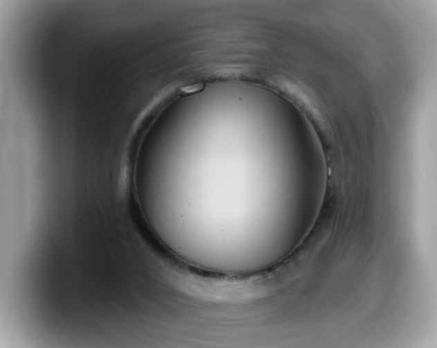 X0000099970016200805301343