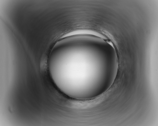 X0000099970017200805301343