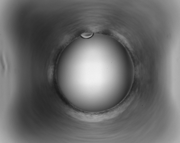 X0000099970018200805301343