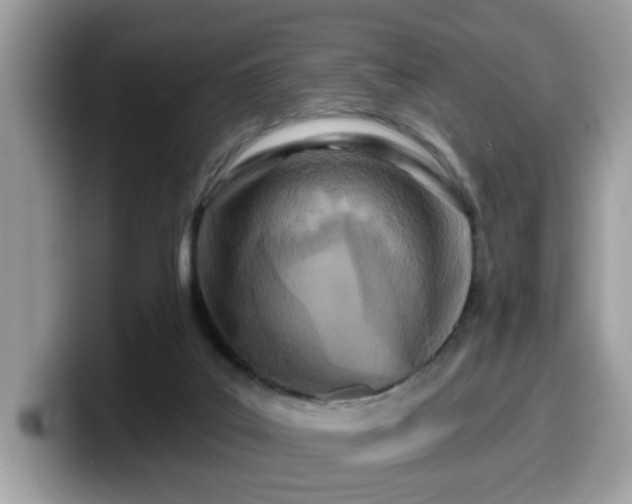 X0000099970019200805301343