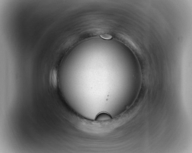 X0000099970022200805301342