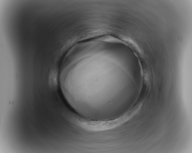 X0000099970023200805301342