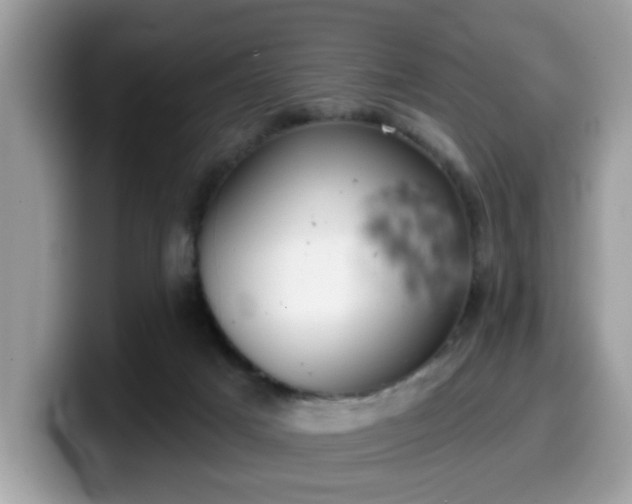 X0000099970025200805301342