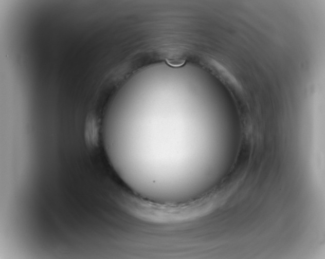 X0000099970026200805301342