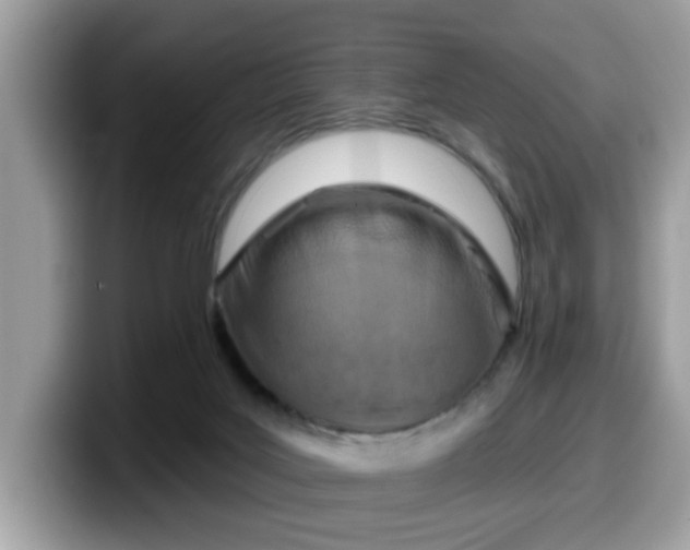 X0000099970027200805301342