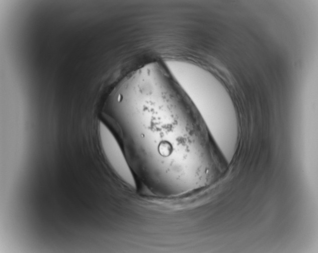 X0000099970029200805301342