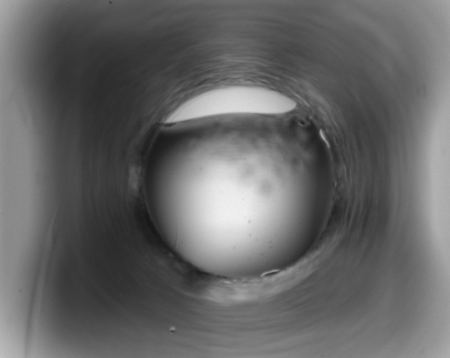 X0000099970033200805301342