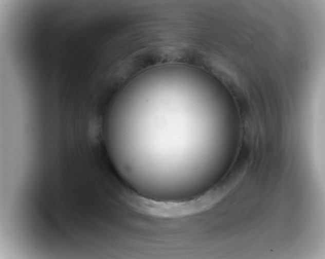 X0000099970034200805301342