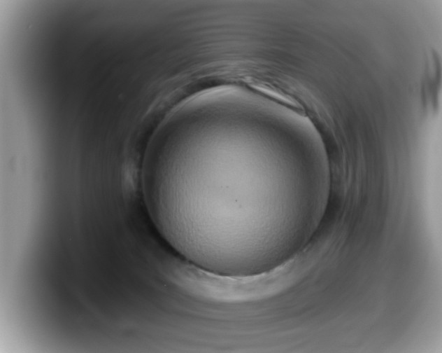 X0000099970035200805301342