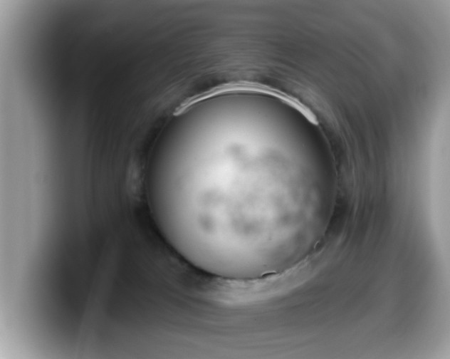 X0000099970037200805301342