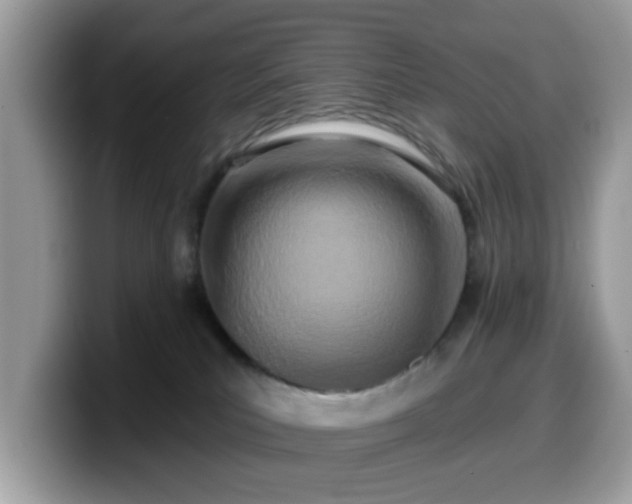 X0000099970039200805301342