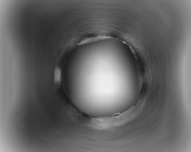 X0000099970041200805301342