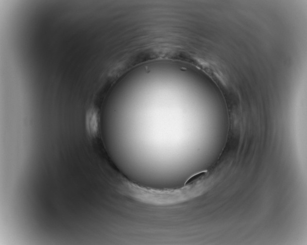 X0000099970042200805301342