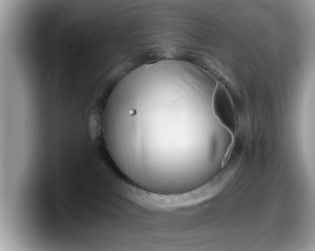 X0000099970043200805301342