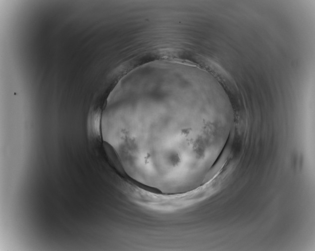 X0000099970047200805301342