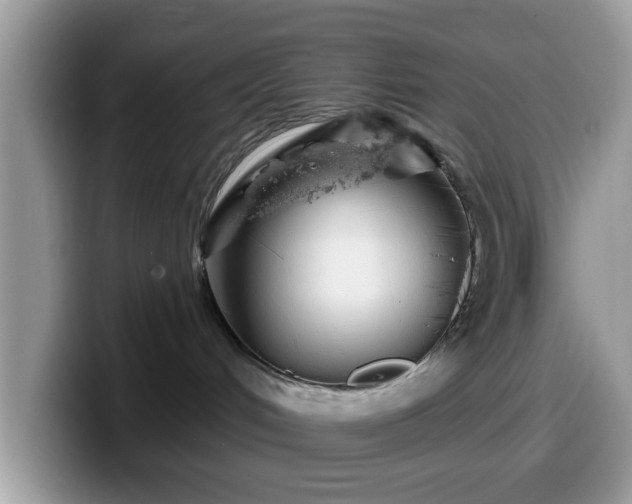 X0000099970048200805301342