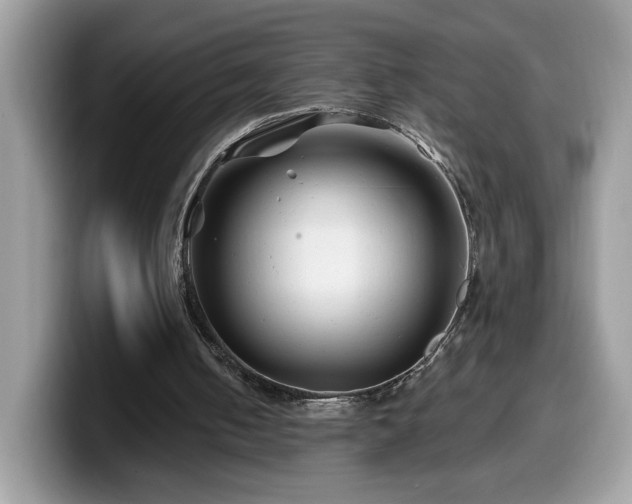 X0000099970050200805301342