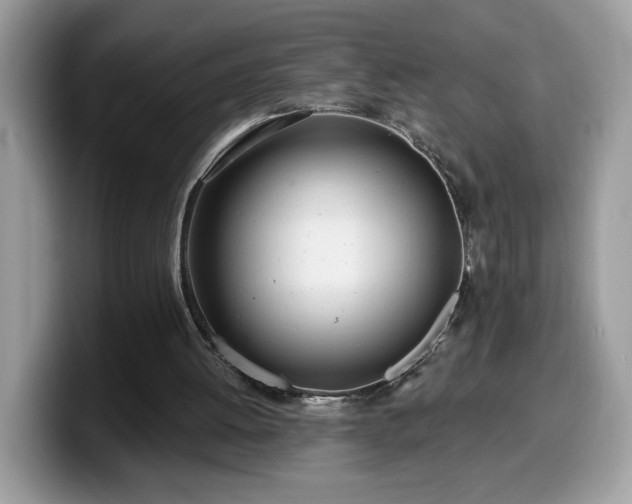 X0000099970052200805301342