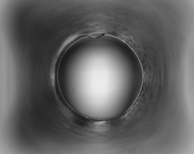 X0000099970054200805301342