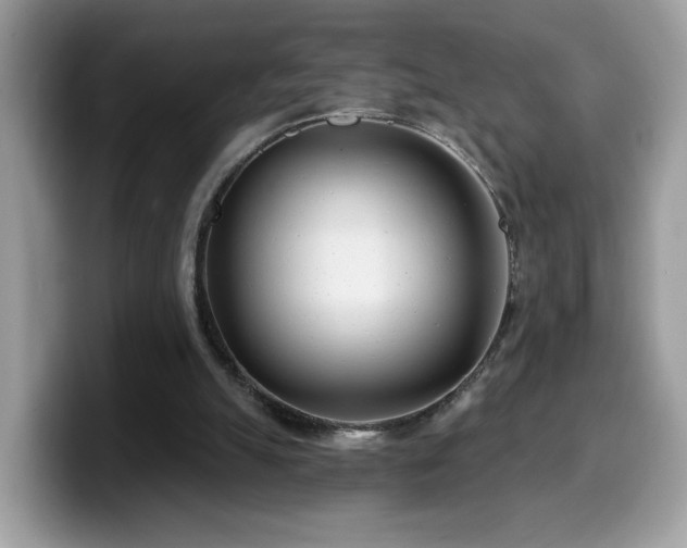 X0000099970055200805301342