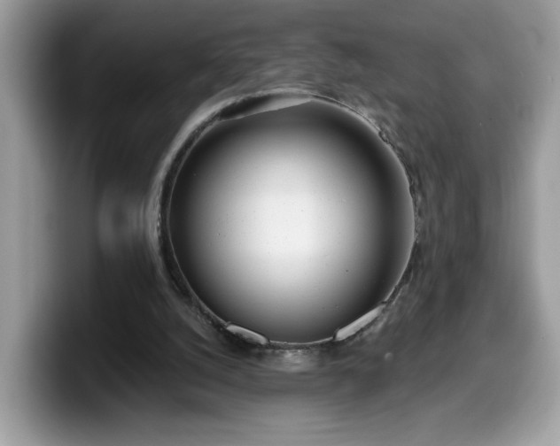 X0000099970056200805301342